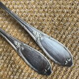 Fork and spoon set in silver metal