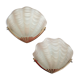 Pairs of wall light seashells