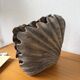 Brutalist wood shell sculpture box 1900