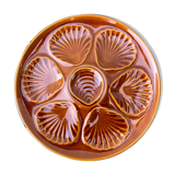 Set of 4 oyster plates