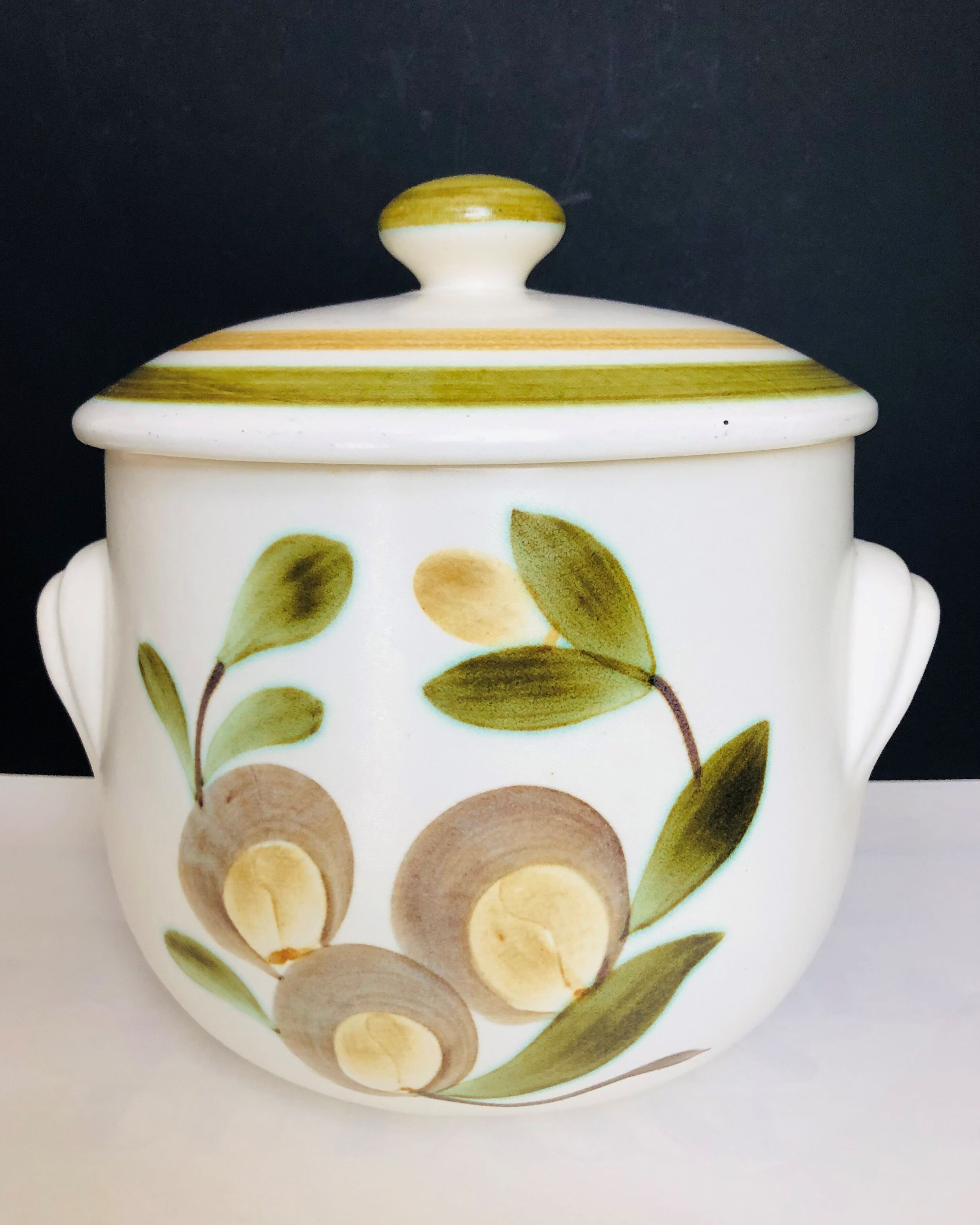Soup pot in GIEN earthenware