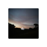 Limited edition art photo. Numbered, dated and signed by the photographer