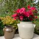 Brown stoneware jar