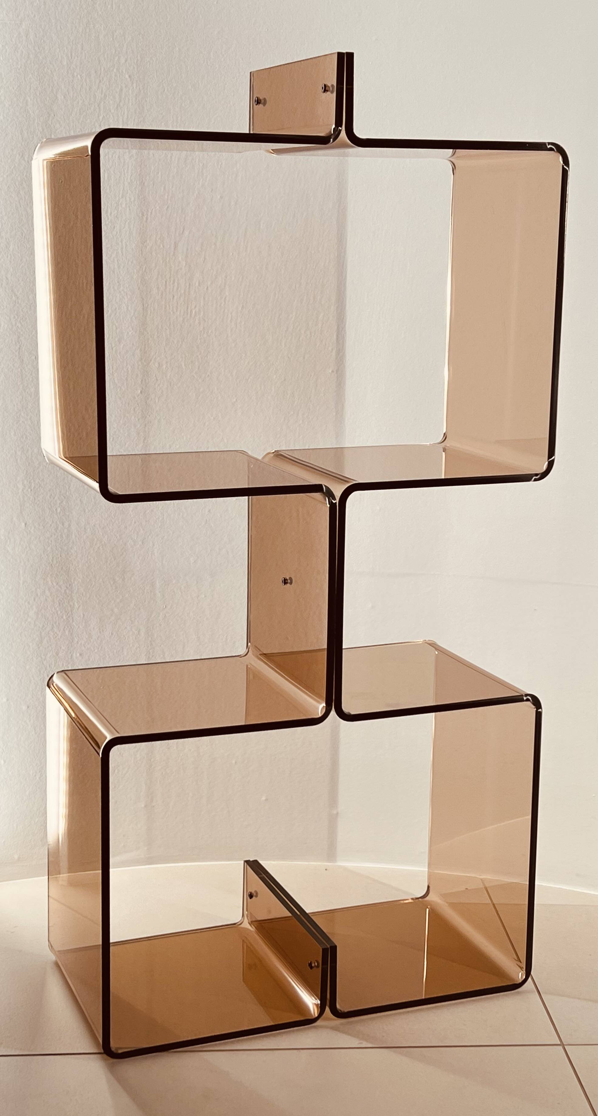 Altuglas bookcase by Michel Dumas, France 1970