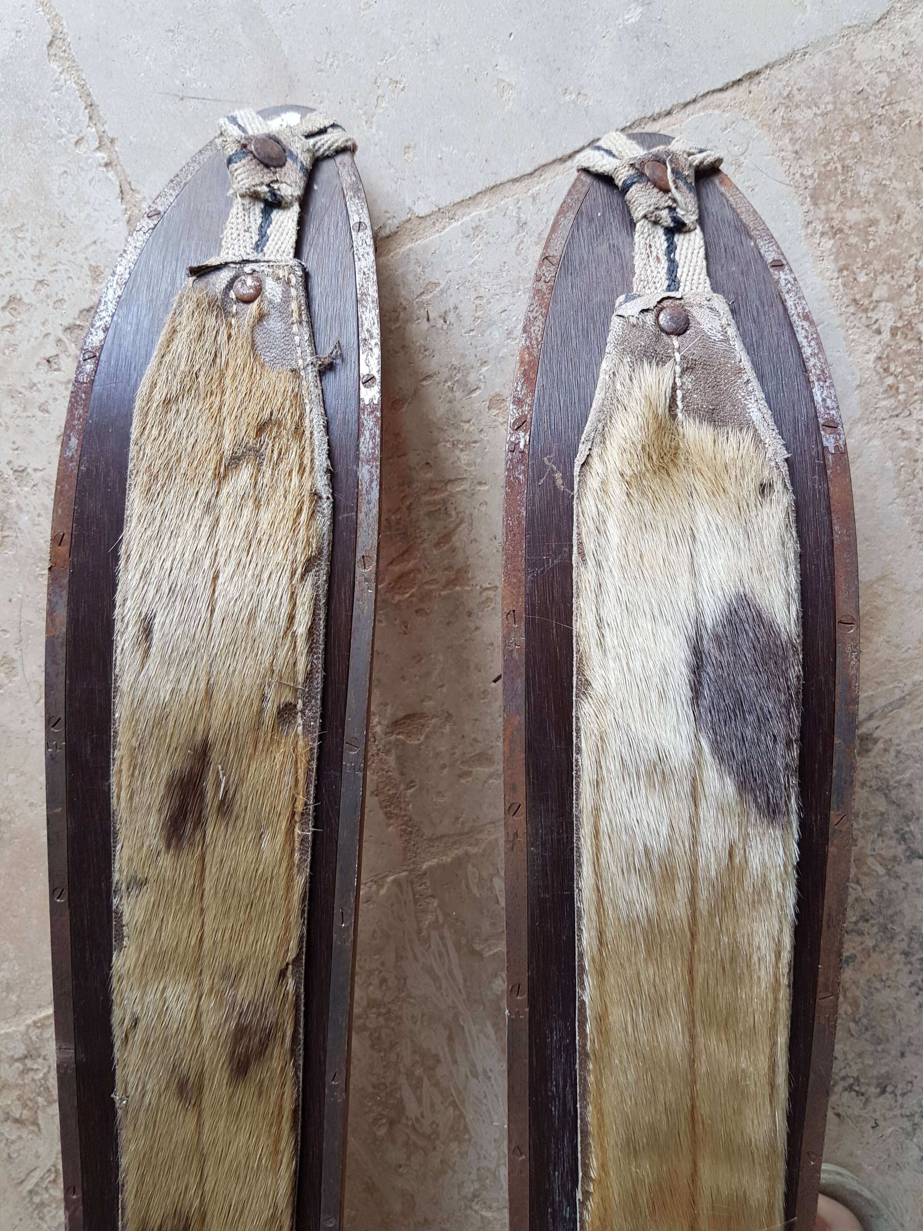 Nordic skiing in wood and skin former