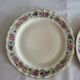 Limoges Bernardaud 5 Flat Plates in porcelain