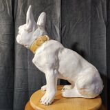 Bouledogue français en céramique manufacture de bavent 1900 france.