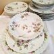 Haviland Limoges porcelain plates