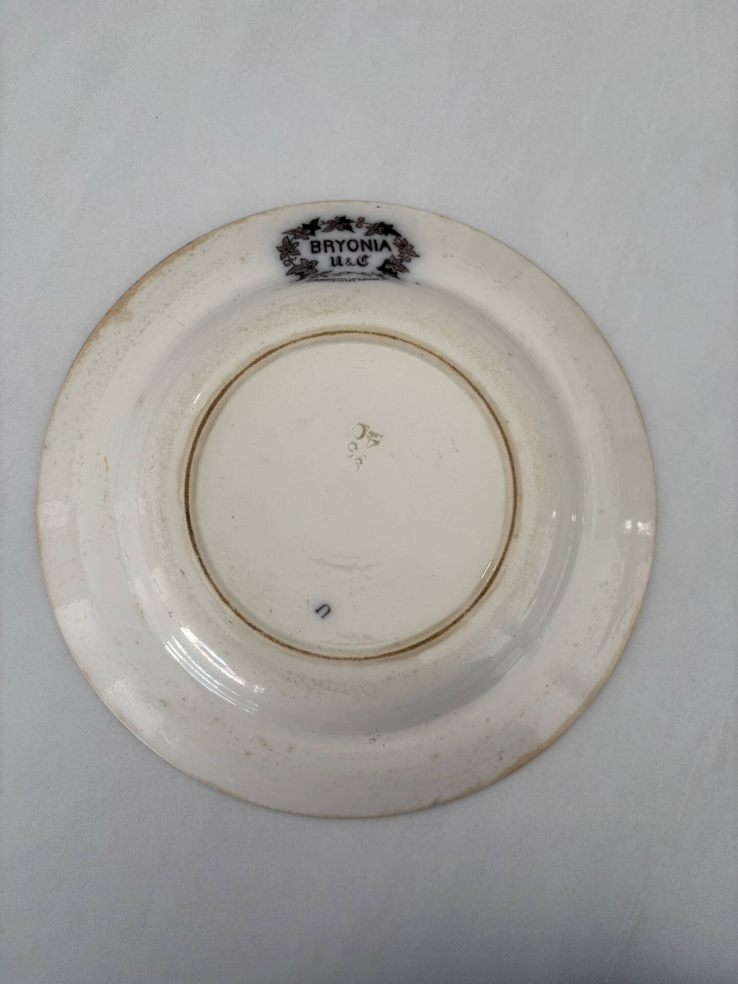 Iron earth plate sepia Sarreguemines model Bryonia - 19th-century earthenware