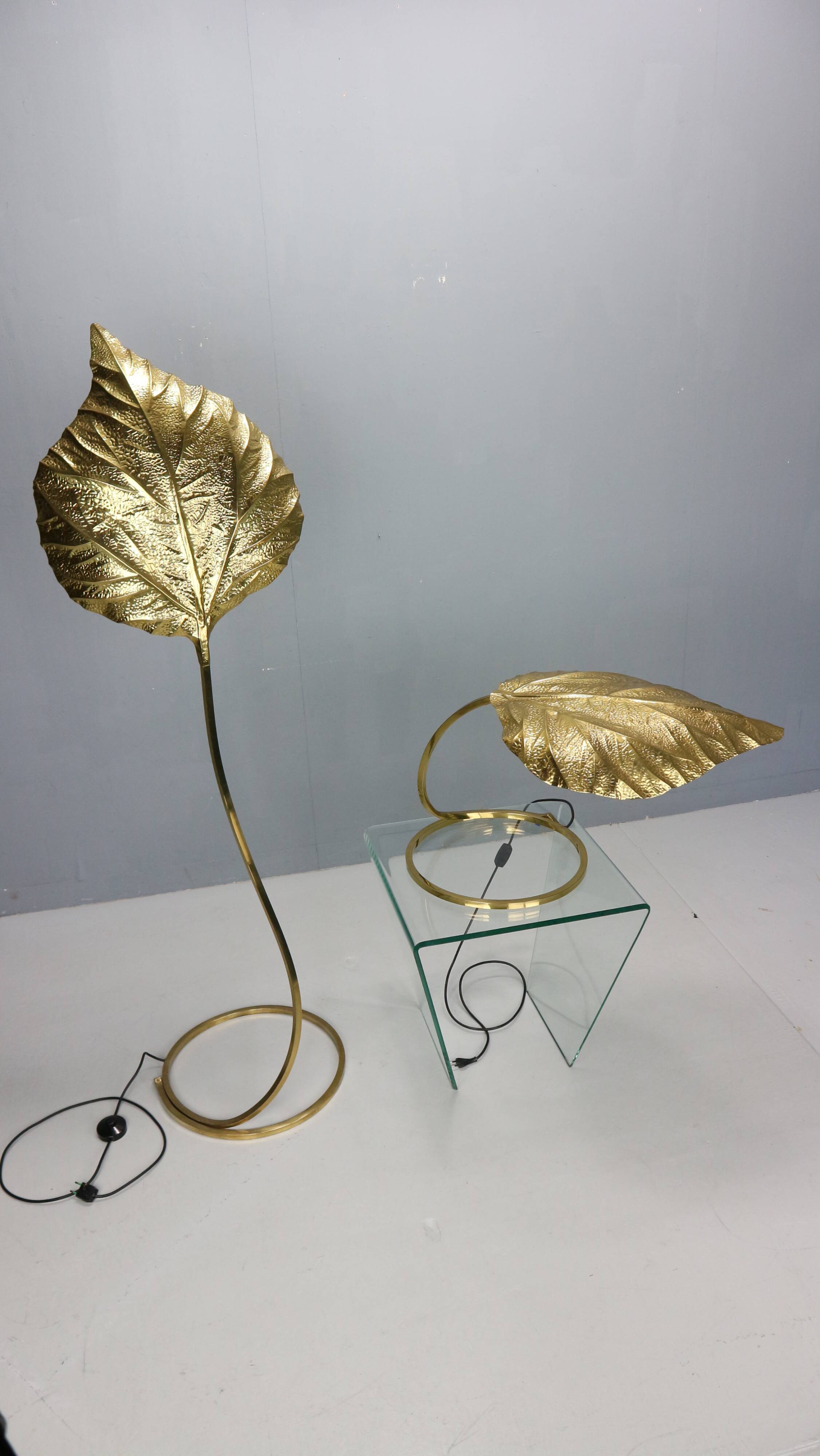 Tommaso Barbi "Rhubarb" floor and table lamp by Bottega Gadda Italy, 1970