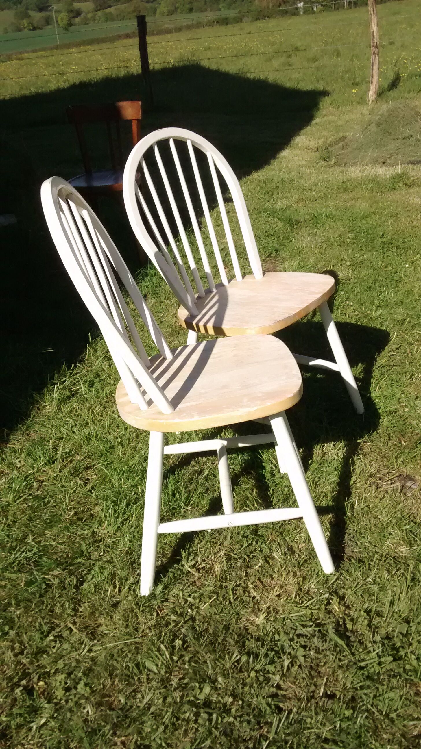 Pair of Ercol chairs