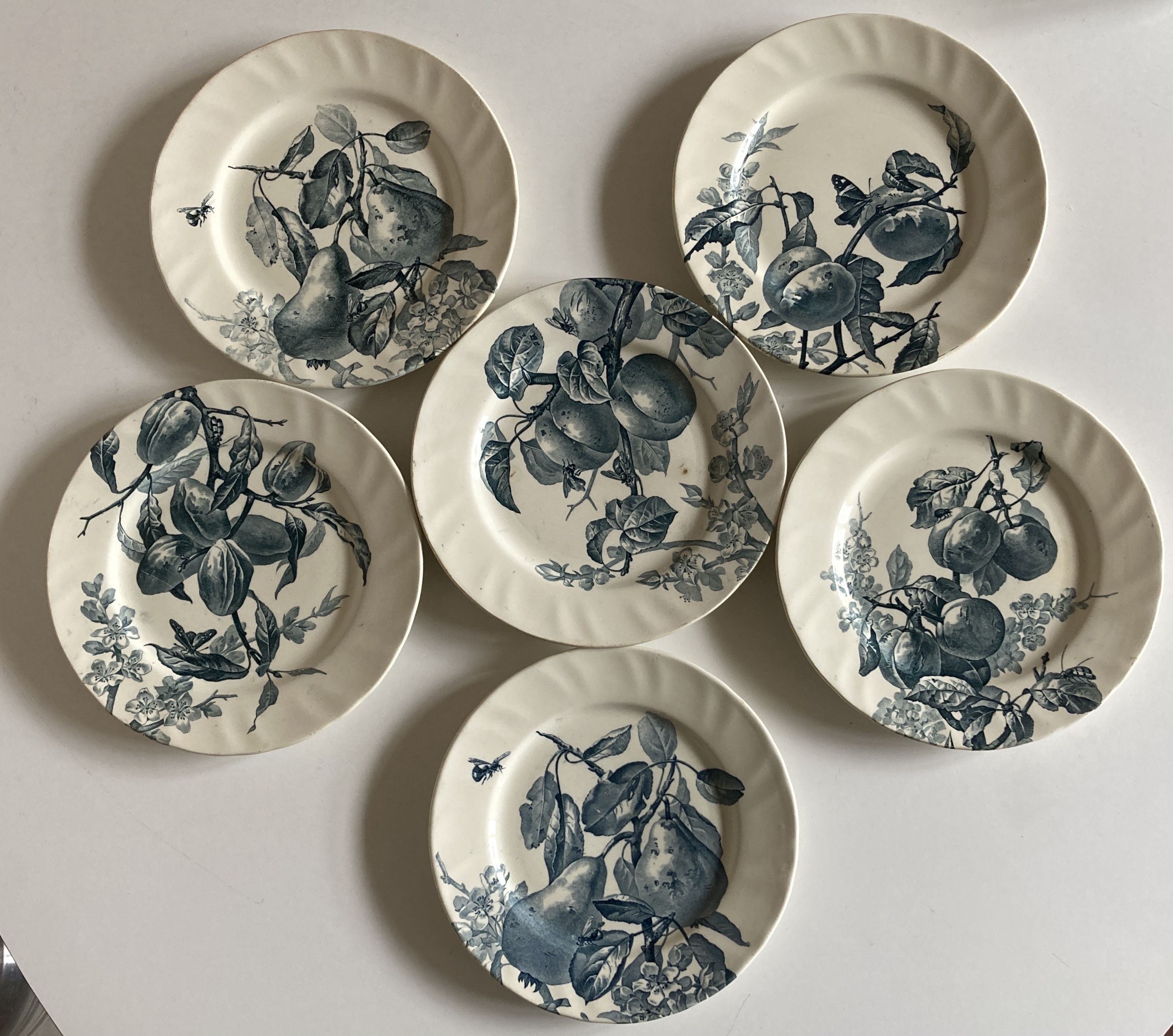 Set of 6 plates Creil Montereau Pomona iron earth early 20th