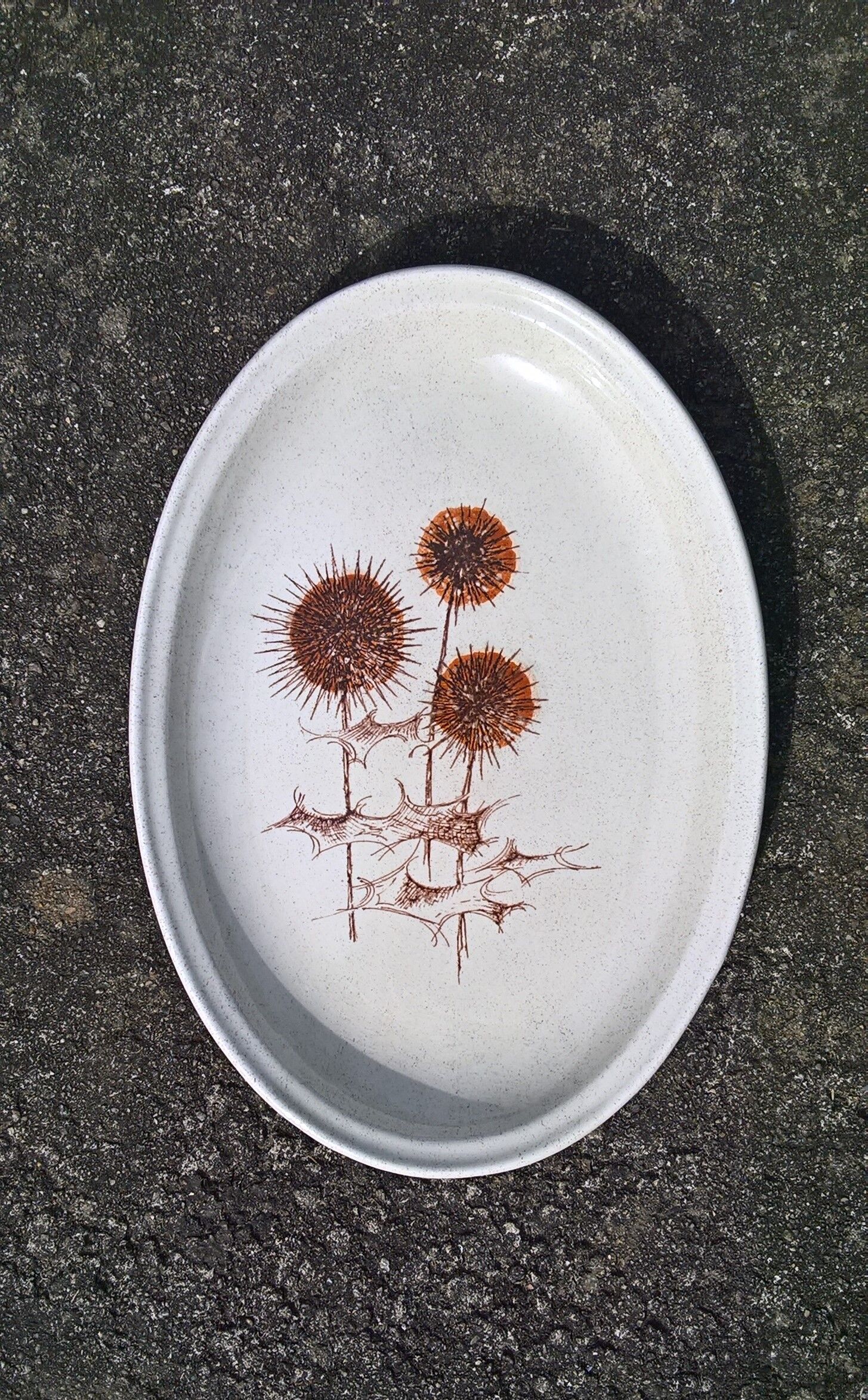 Flat thistles of sarreguemines