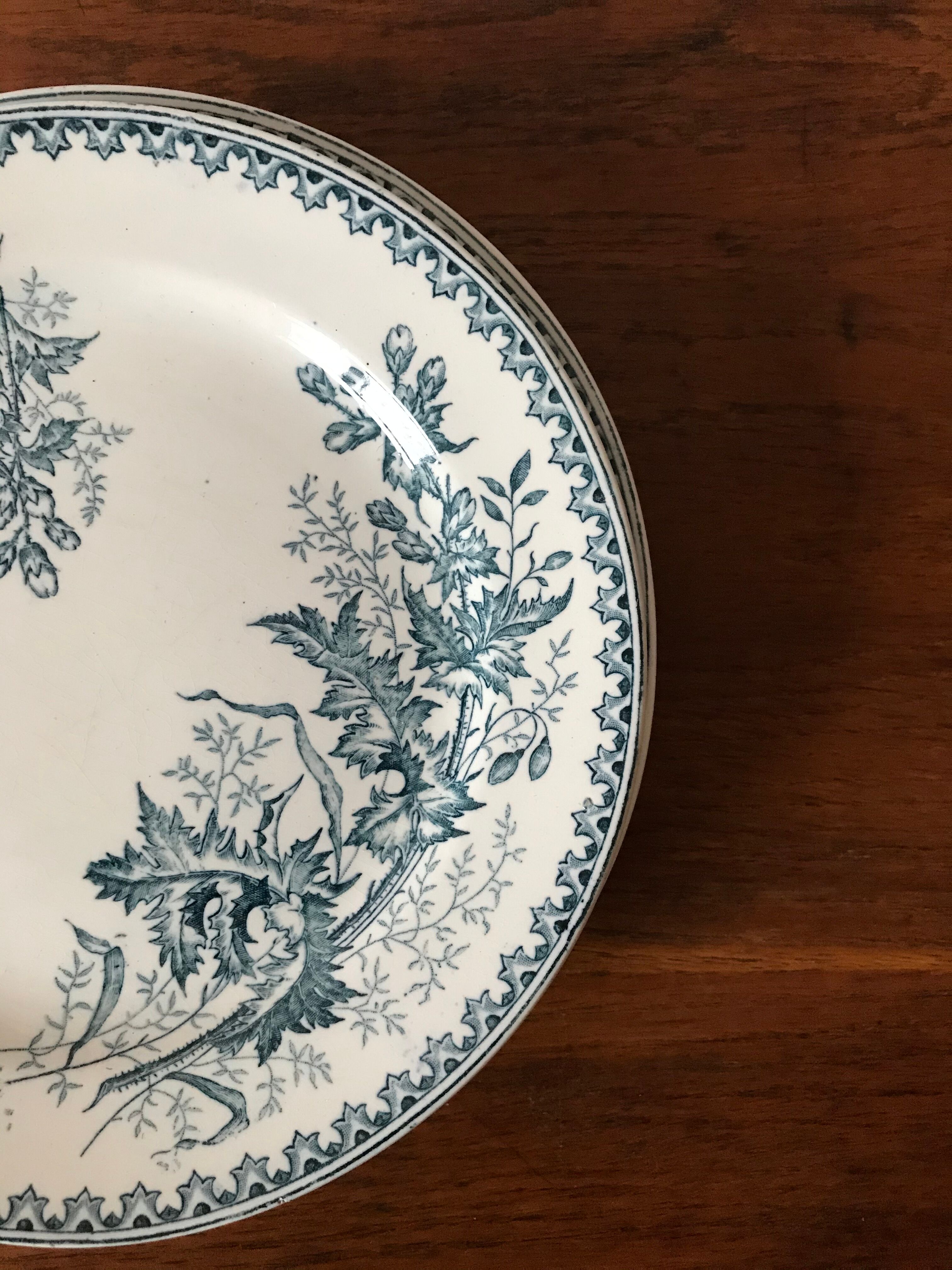 Lot 6 flat plates iron earth Thistle