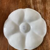 Lot oyster plates