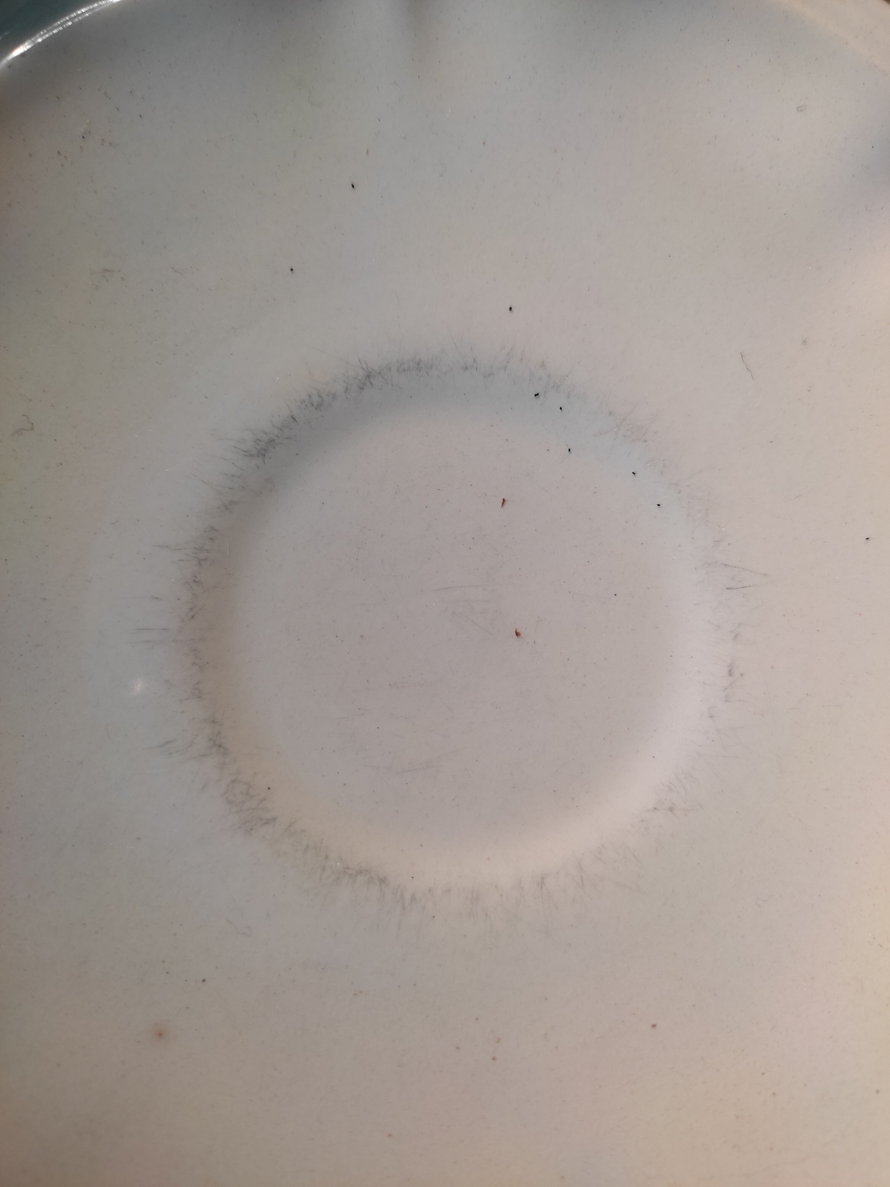 Tea set Sarreguemines