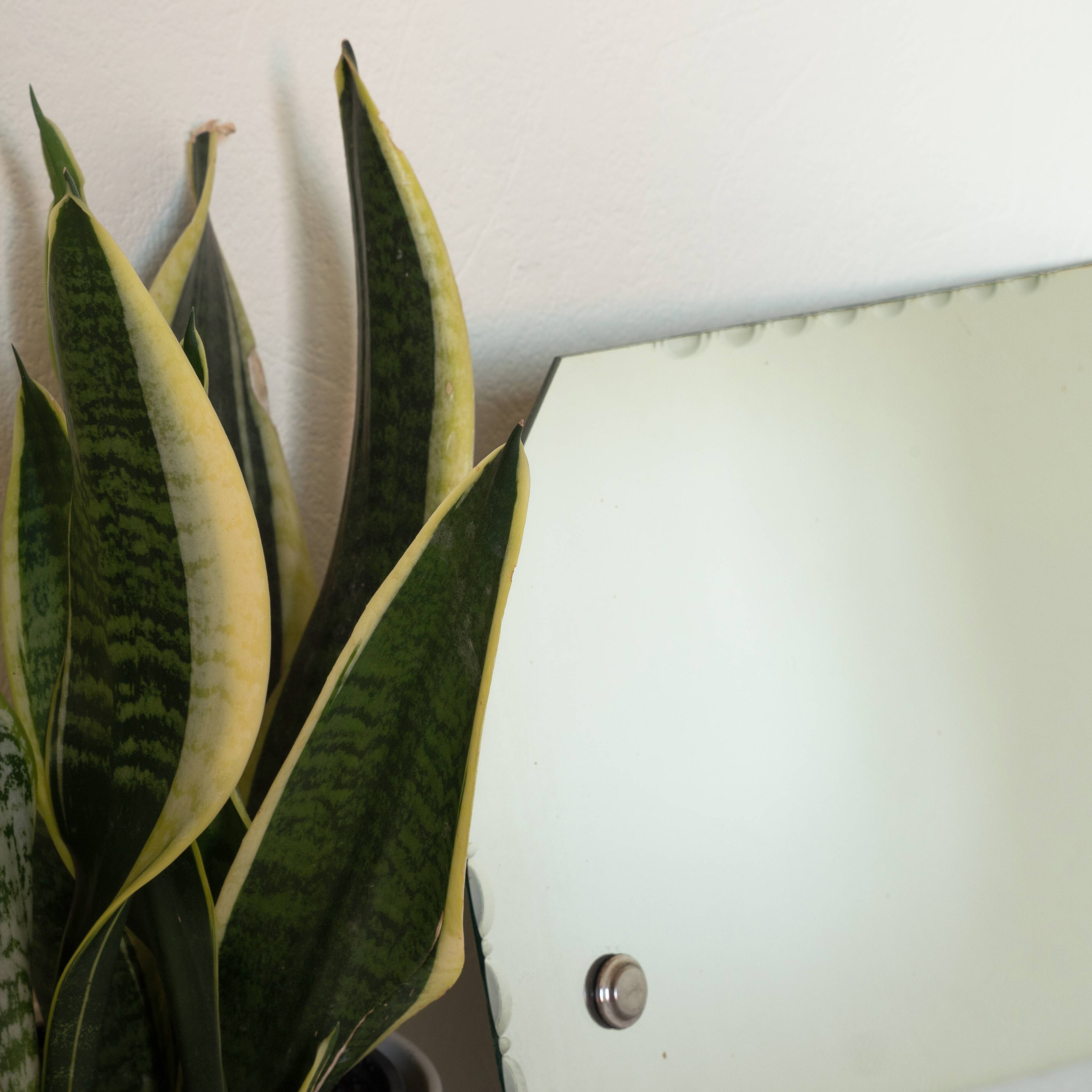 Octagonal antique beveled wall mirror