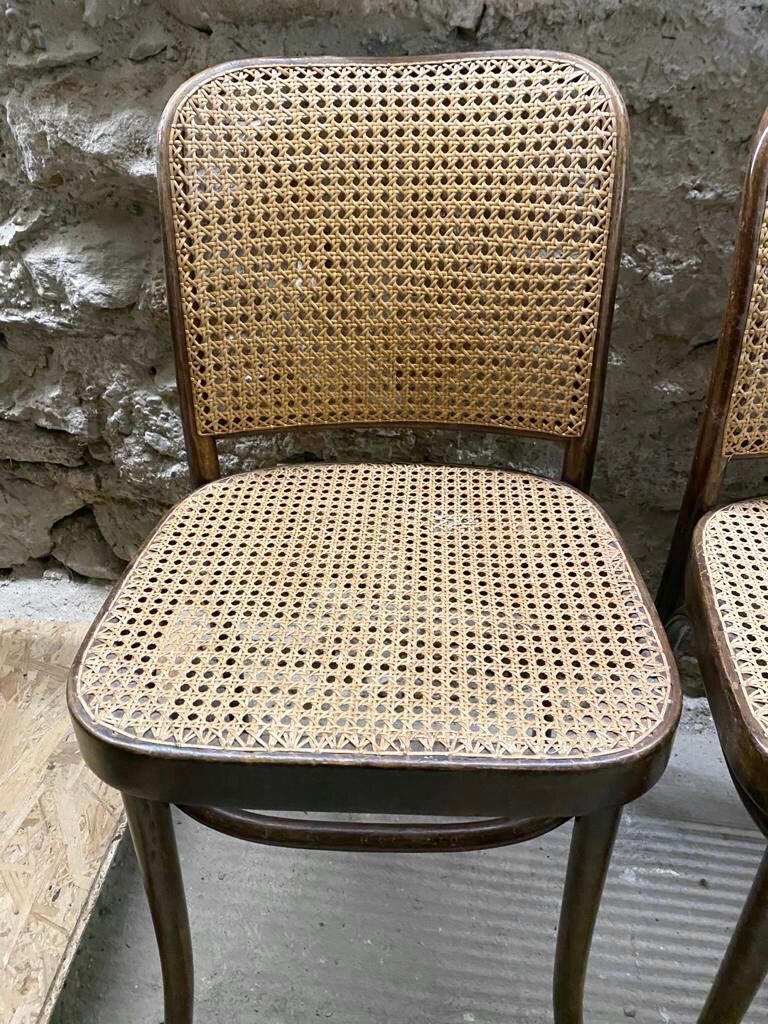 Suite de 6 chaises par Josef Hoffmann pour Thonet années 60