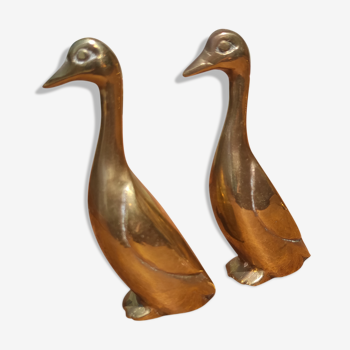 Pair of golden brass ducks
