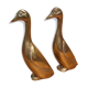 Pair of golden brass ducks