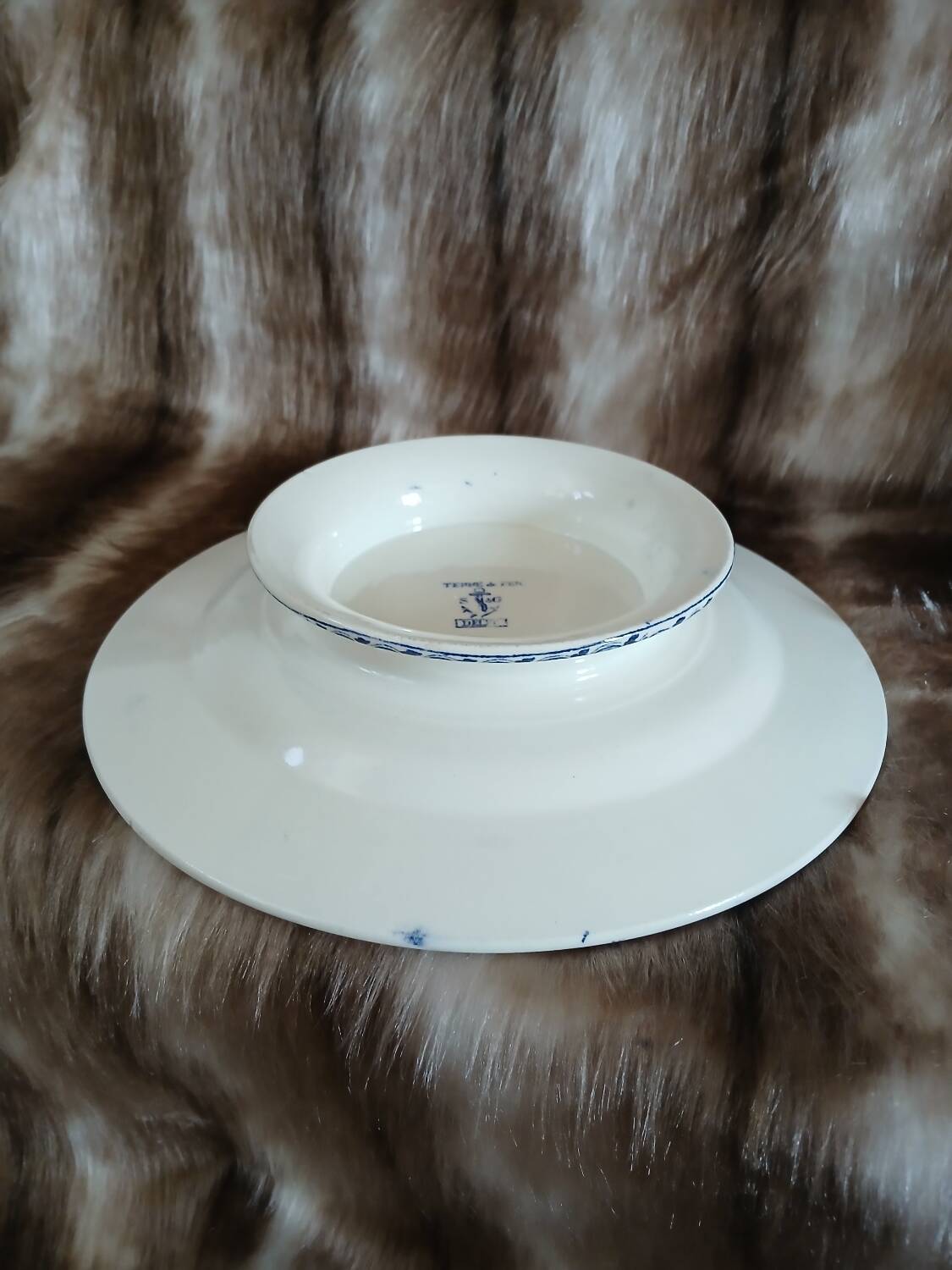 Small antique dish in ironstone
