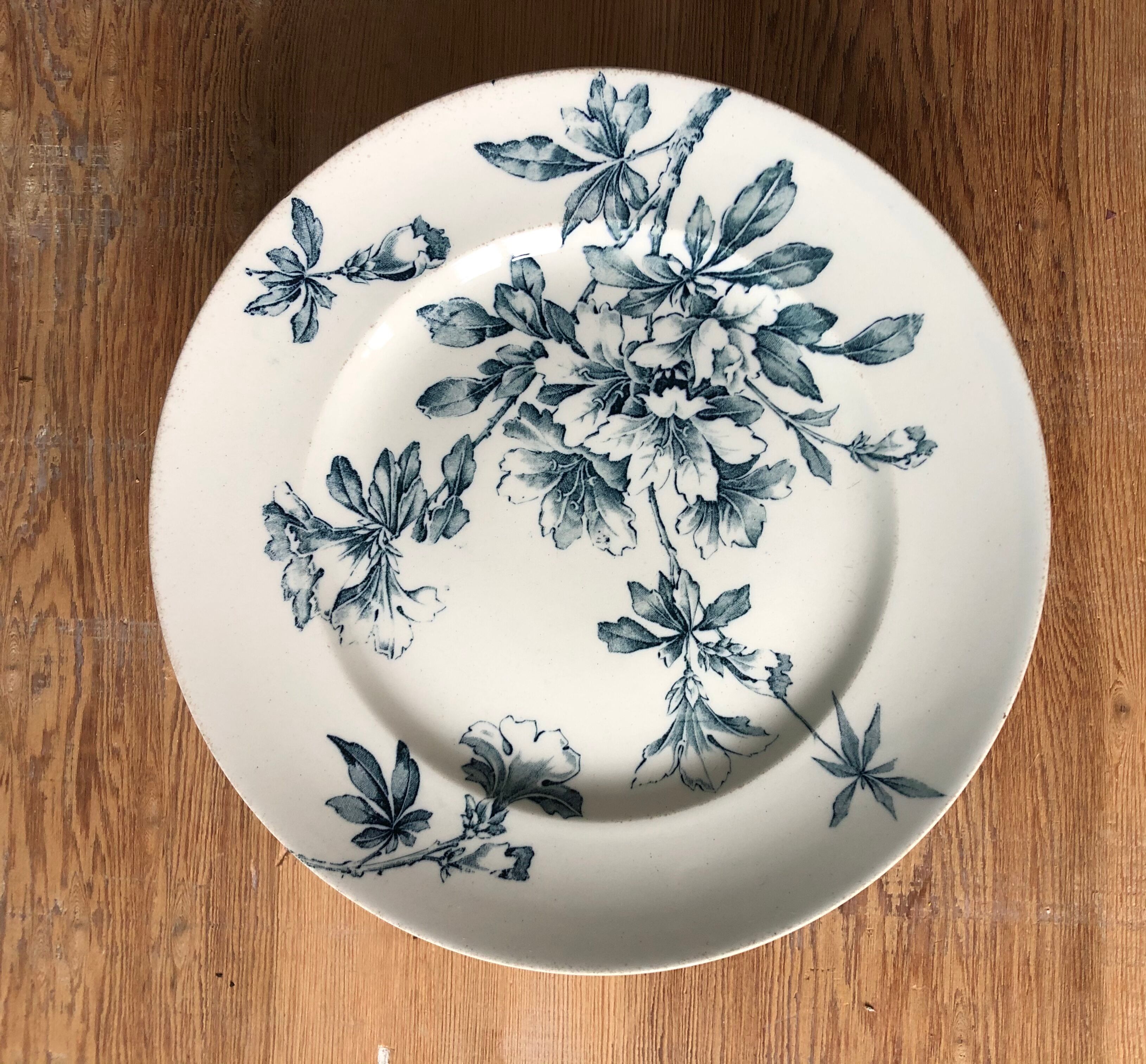 Former dish compotier Keller and Guerin Lunéville