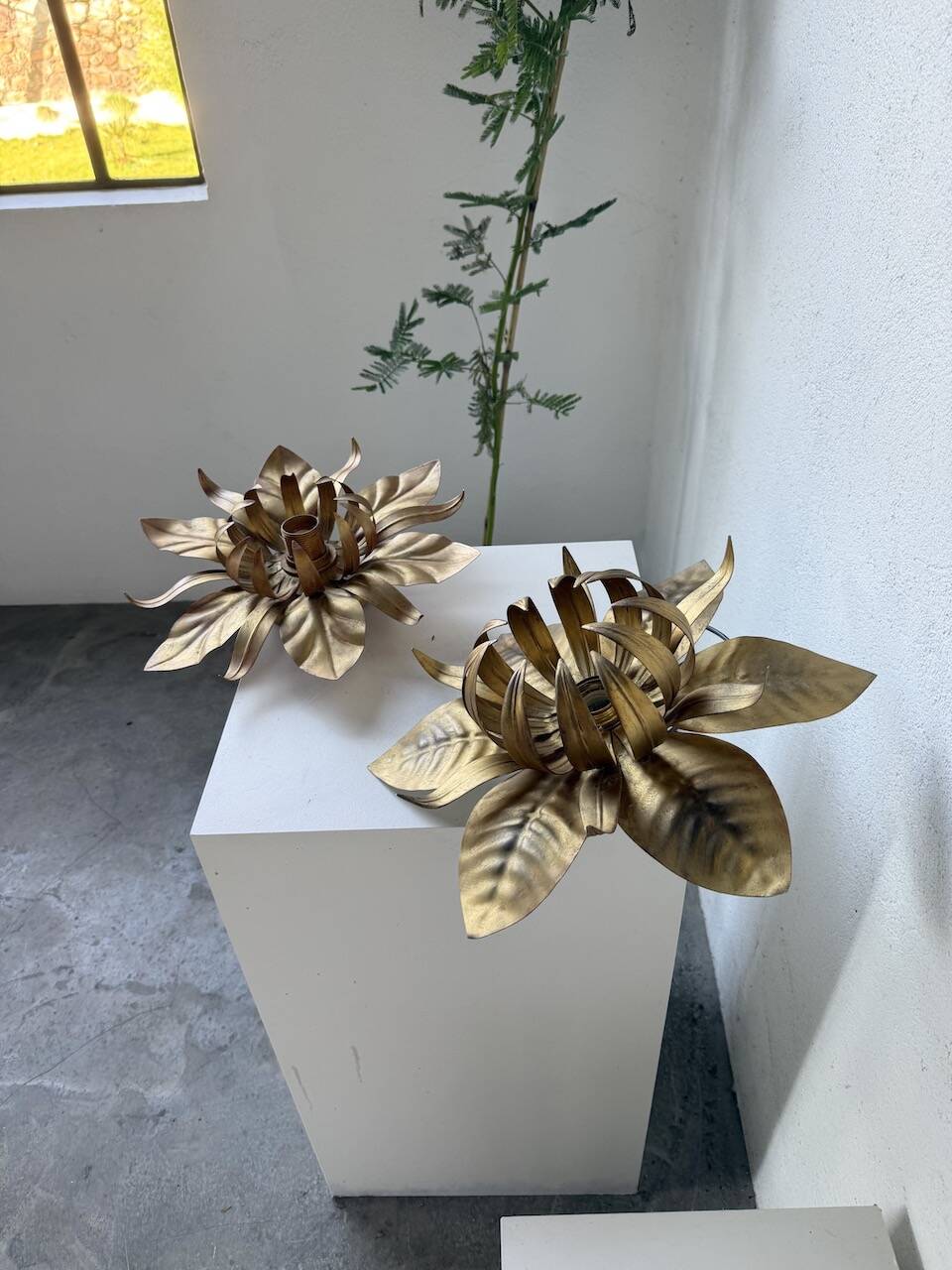 Pair of gold metal flower wall lights