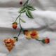 Embroidered tablecloth with its 12 napkins.