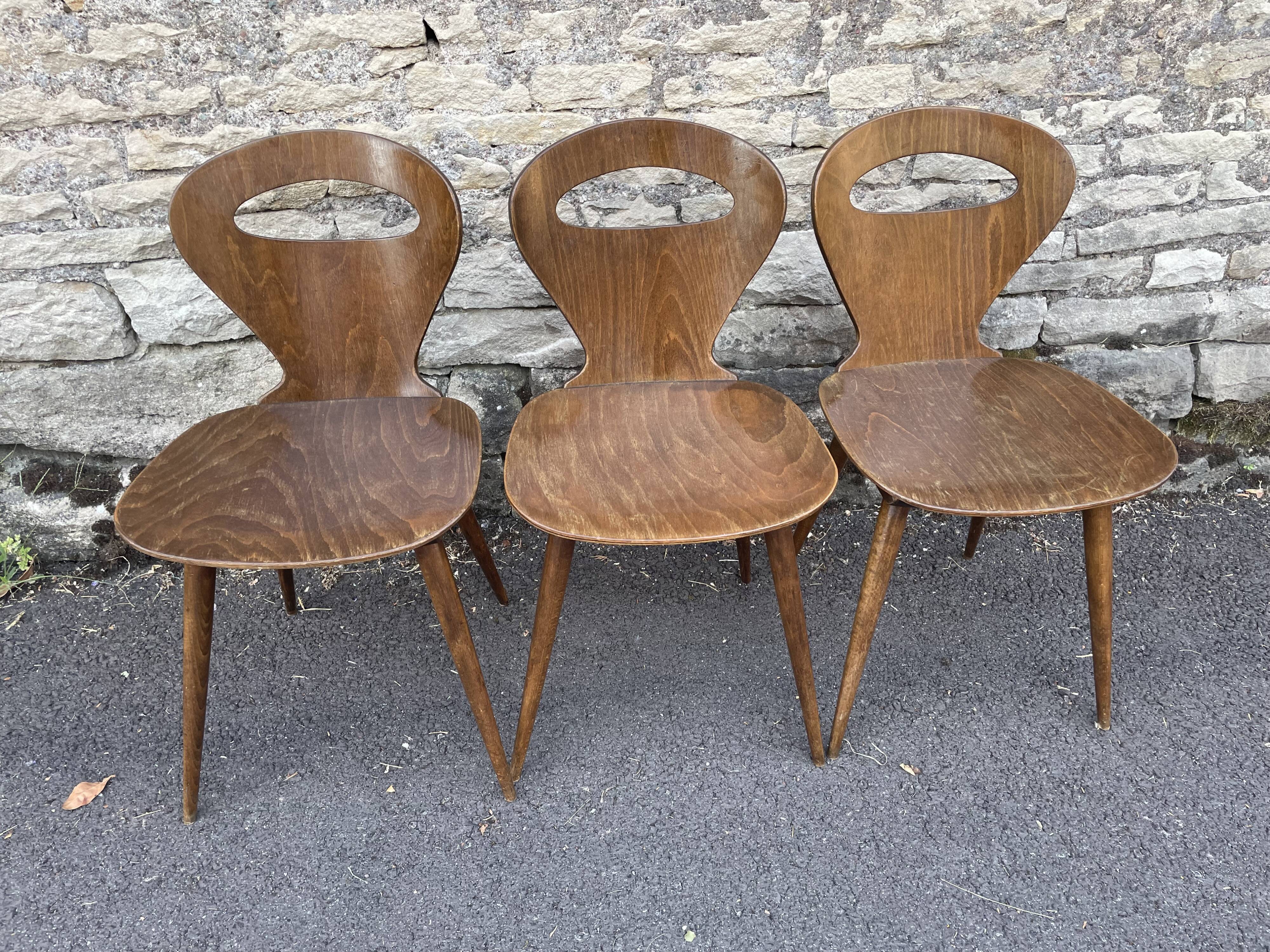 Baumann chairs "ant"