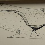 Gravure "Faisans Orientaux" 1950's
