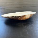 Vide poche coquillage en nacre