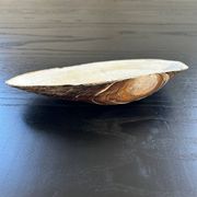 Vide poche coquillage en nacre