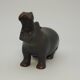 Hippopotamus