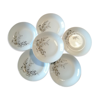 6 porcelain hollow plates