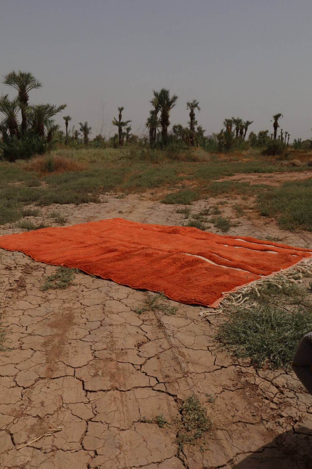 Moroccan Berber rug Mrirt orange terracotta