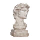 Head David in full plaster
