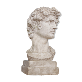 Head David in full plaster