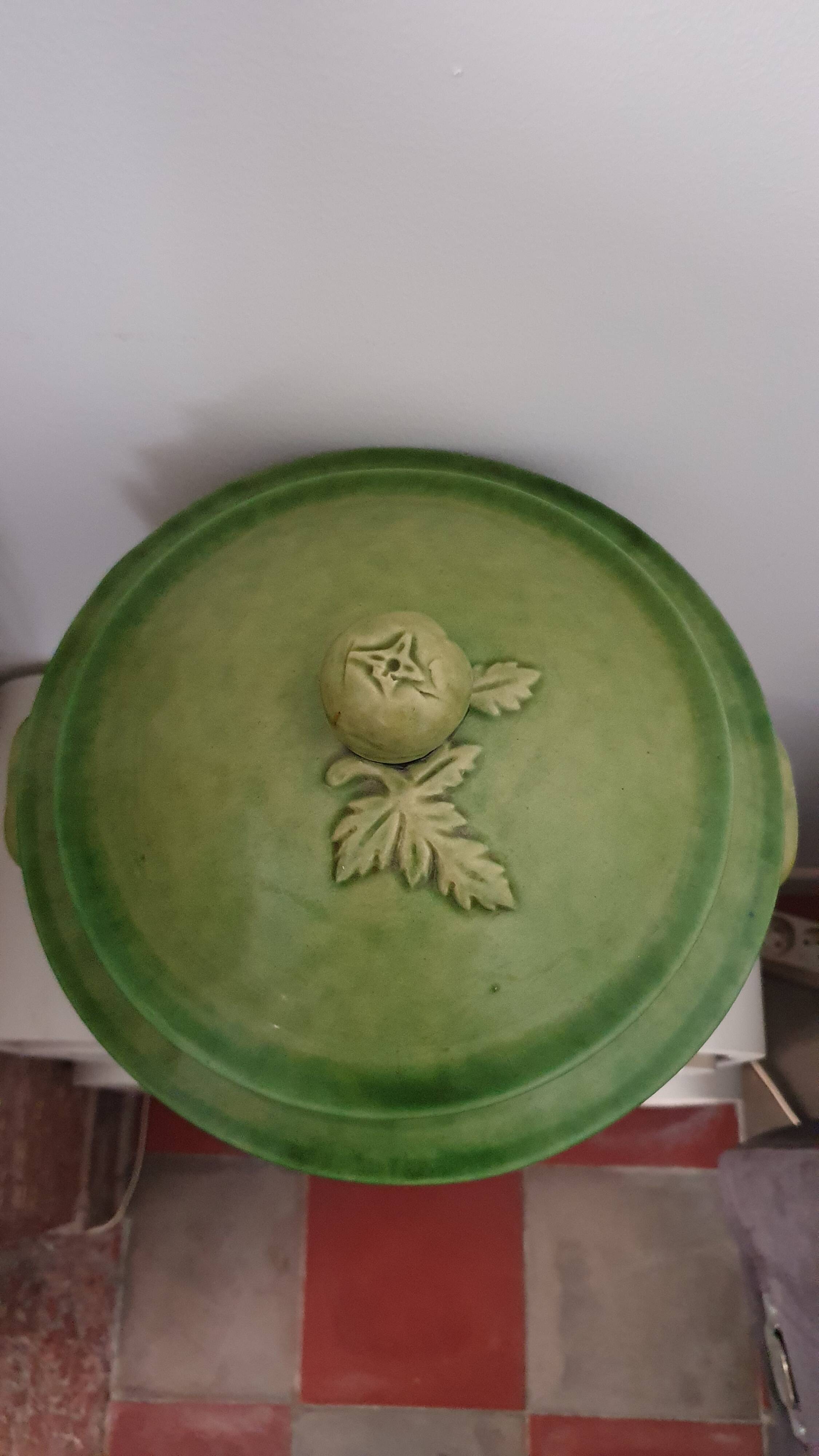 Biot varnished earth soup