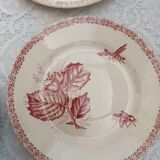 6 assiettes plates Choisy Leroy