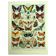 Antique lithograph 1928 A. Millot - Butterflies of Europe