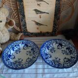 Creil&Montereau Art Nouveau soup plates, Flora model