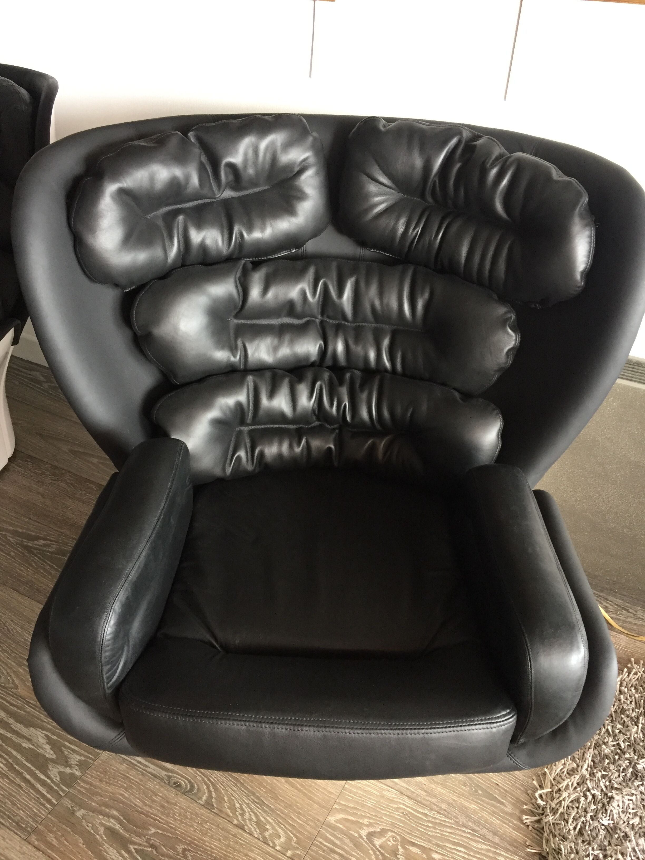 Fauteuils Elda Joe Colombo