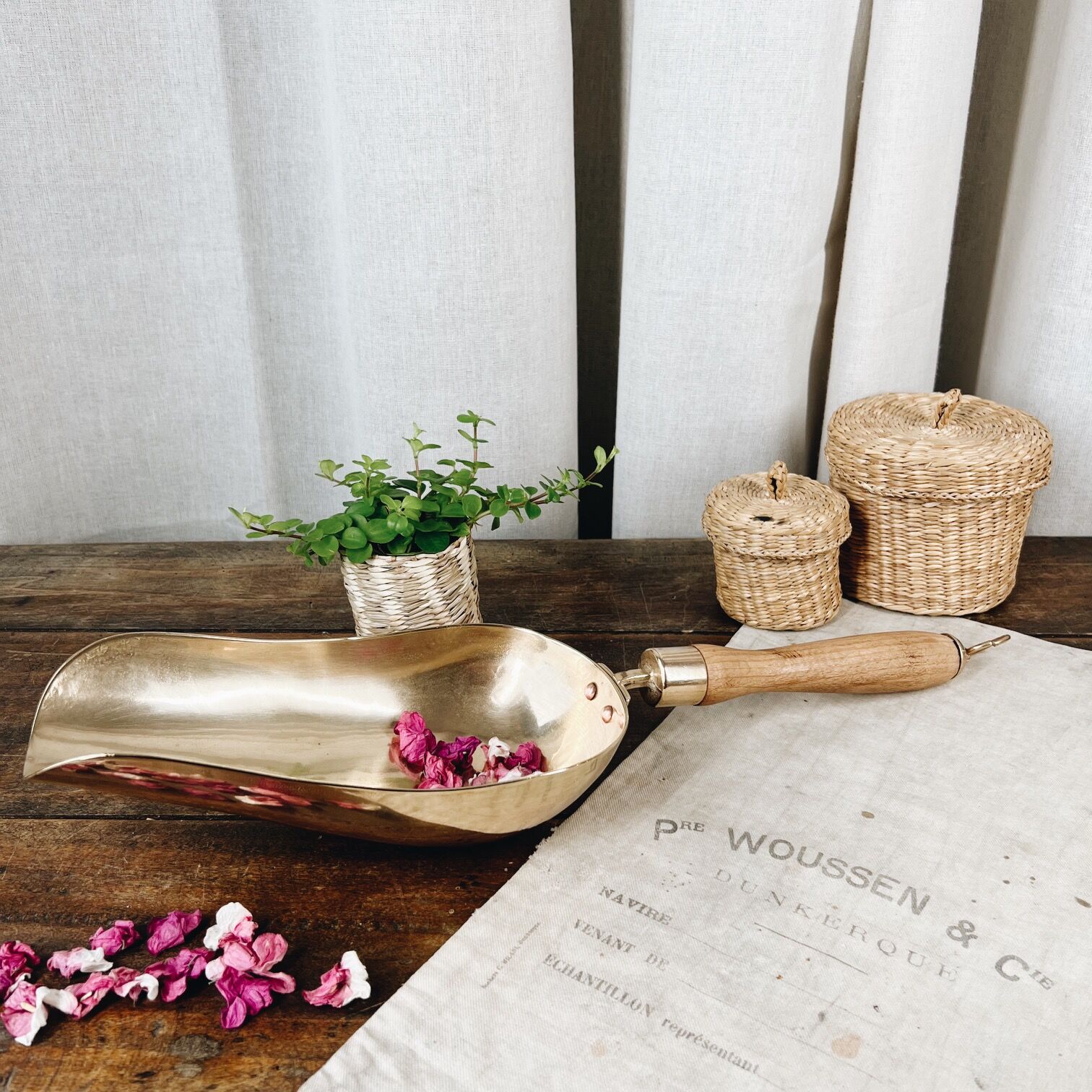 Large old brass grocery shovel