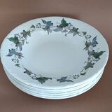 Royal China Vigo porcelain soup plates