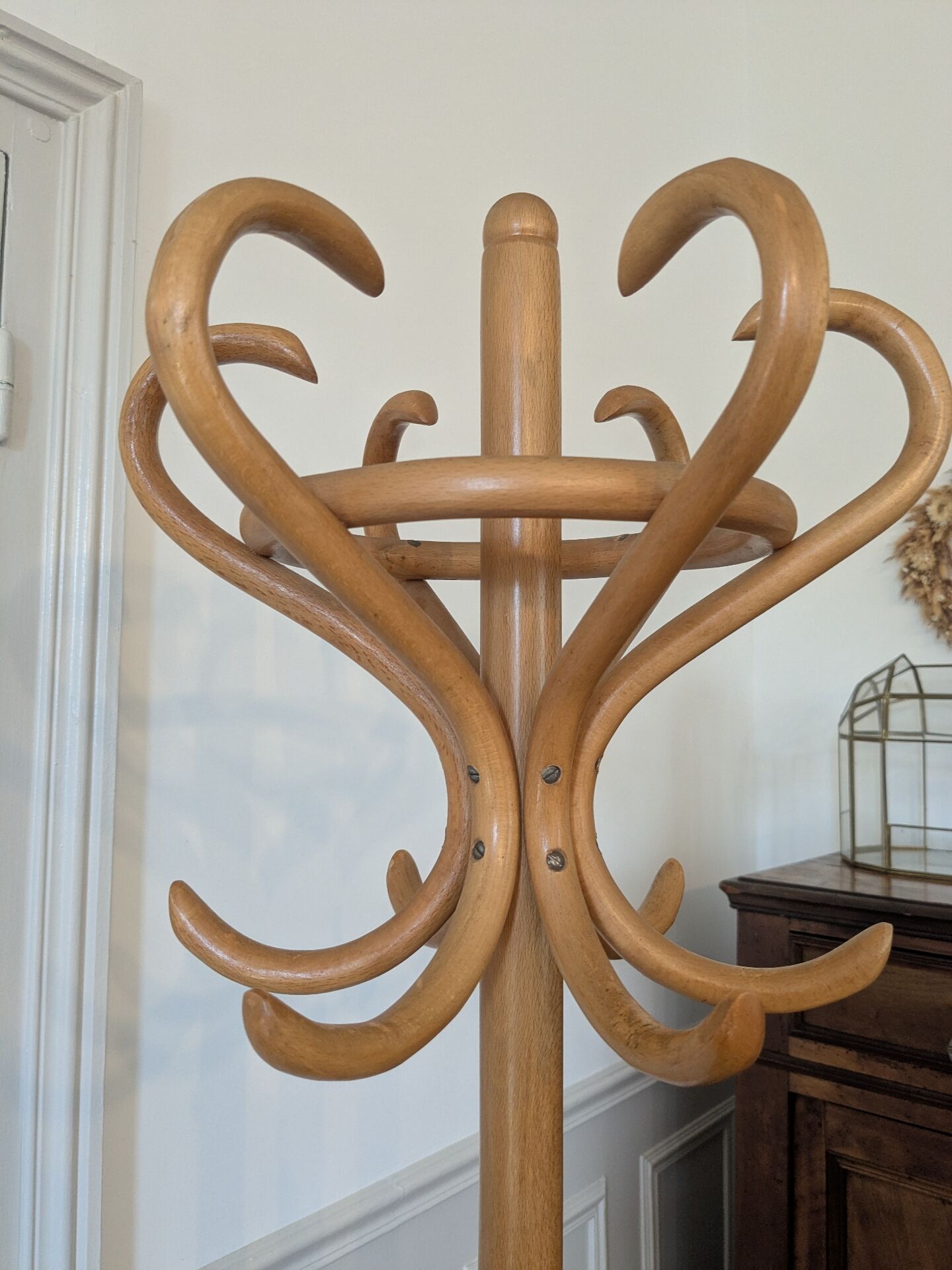 Parrot coat rack