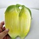 Small Vintage Ceramic Ramekin Cup Dish Corn Cob Shape