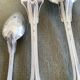 Christofle silver-plated cutlery set in its original case.