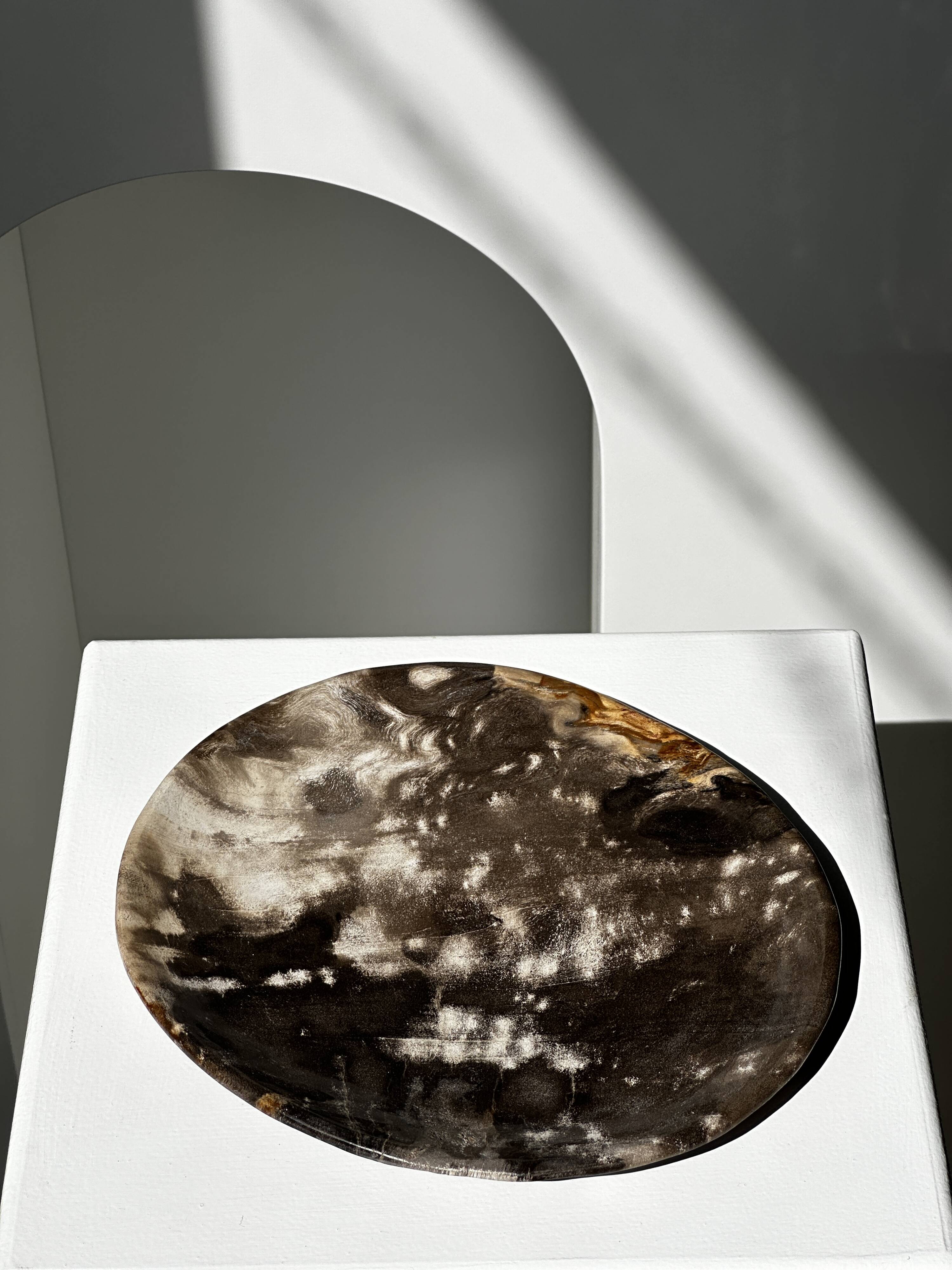 Medium petrified wood dish or pocket emptier, predominantly gray 1137