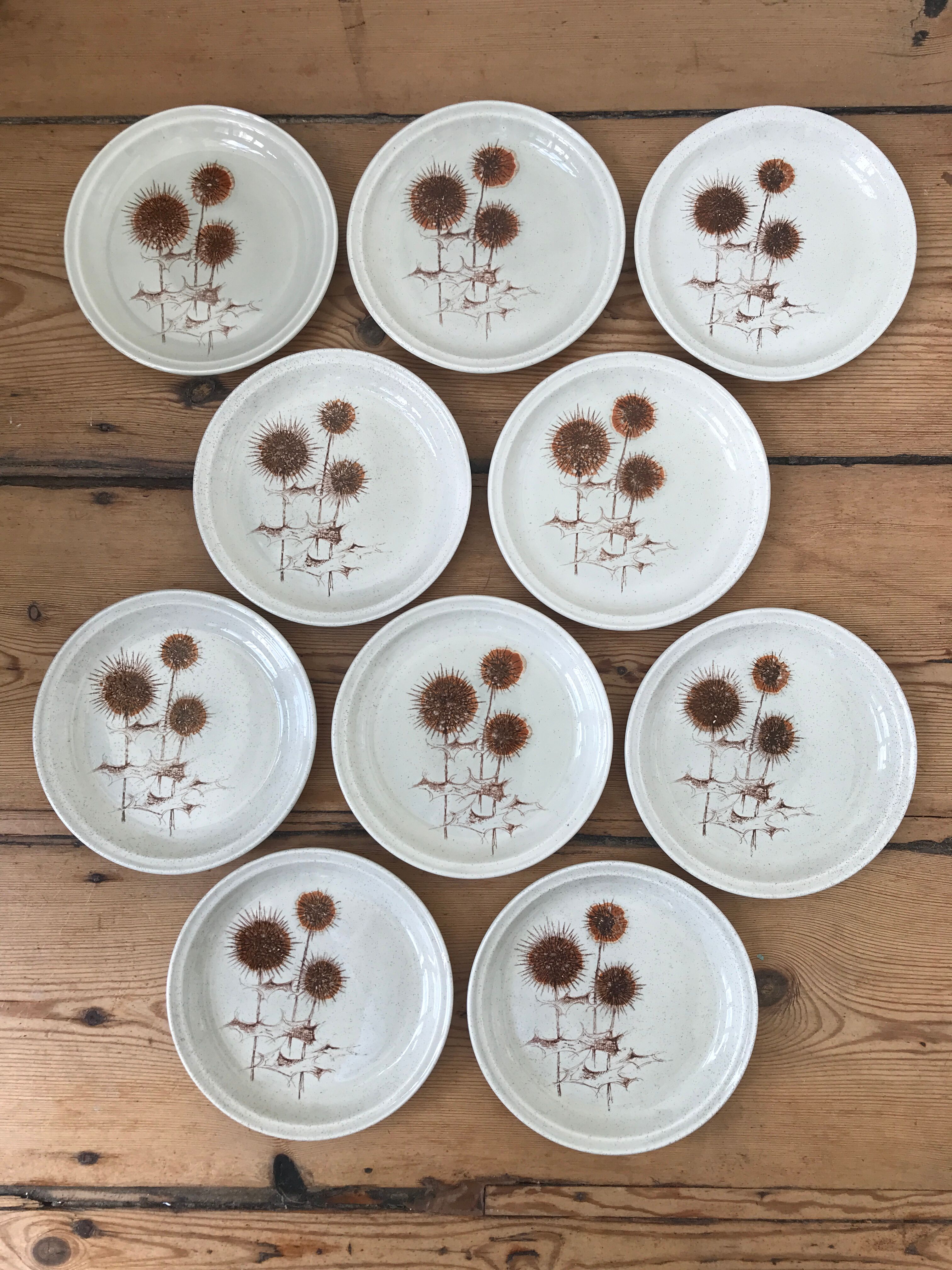 Série de 10 assiettes à desserts Sarreguemines
