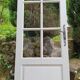 Old wooden door with small squares
